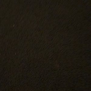 Meet your Posher, Nolan